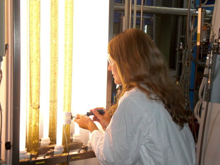 Beitragsbild für Masterstudium